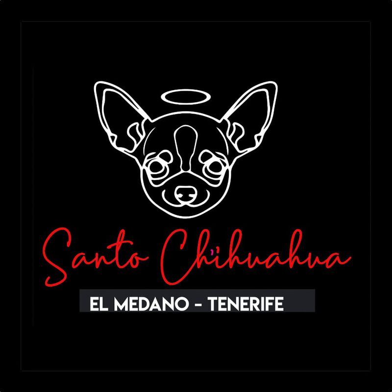 Santo Chihuahua