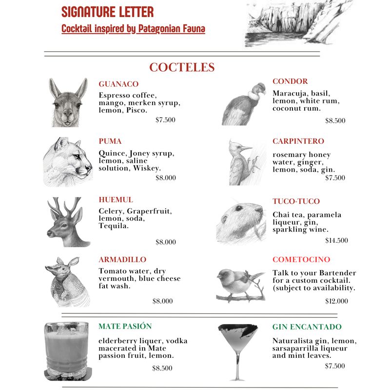 CARTA DE AUTOR