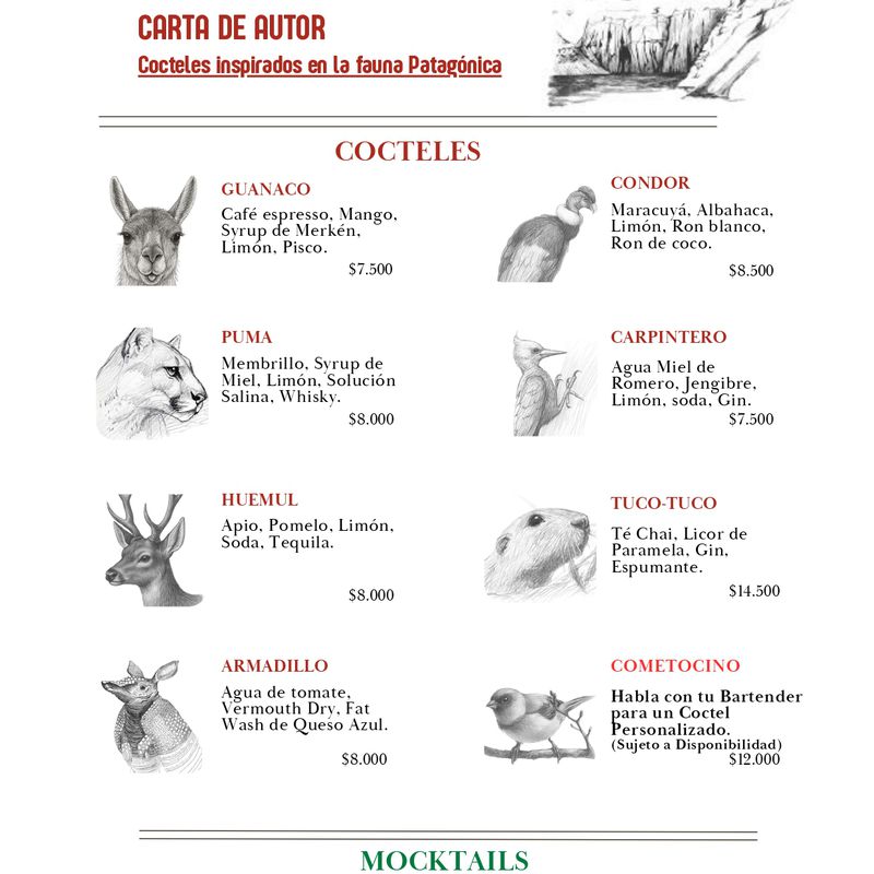 CARTA DE AUTOR