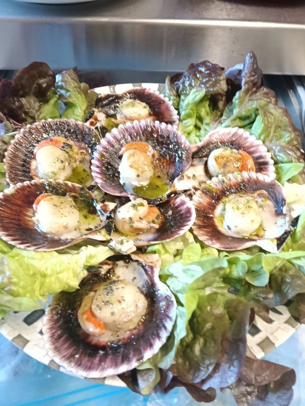 Vieiras del pacifico a la plancha