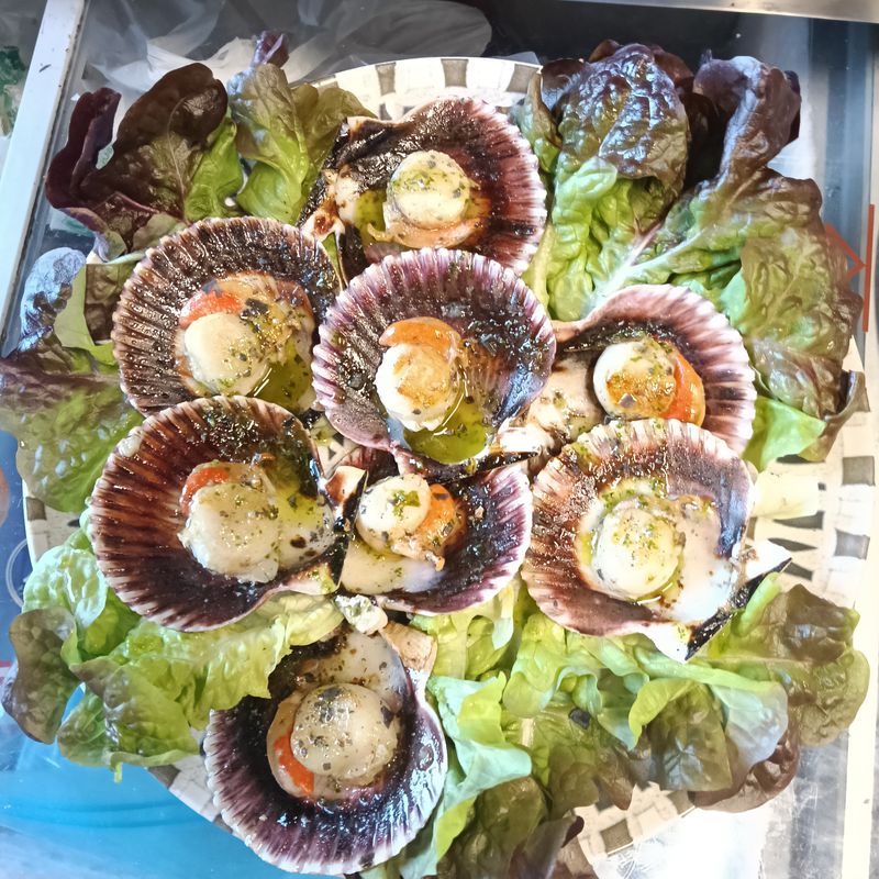 Vieiras del pacifico a la plancha